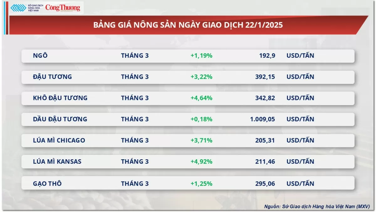 Thị trường hàng hóa 22/1: Giá cà phê Robusta tăng 2,33% Thị trường hàng hóa 22/1: Giá cà phê Robusta tăng 2,33%