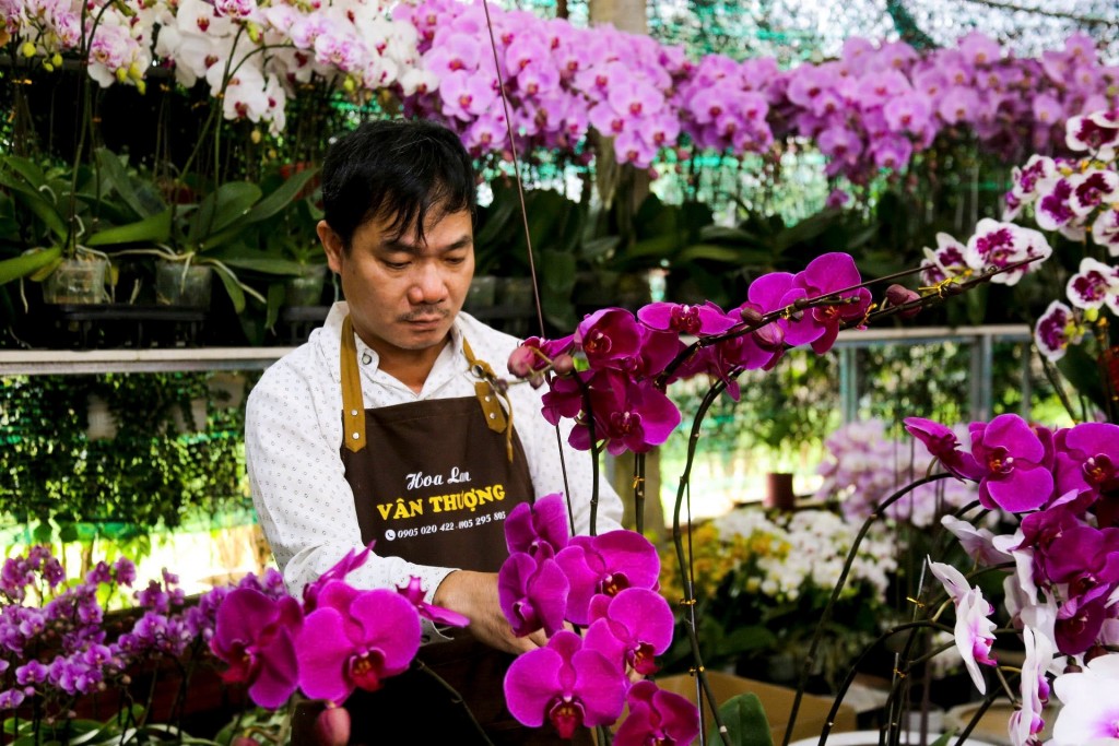 Các chủ vườn cho biết, từ đầu tháng 12 âm lịch, anh đã thuê xe đưa hoa từ vườn của mình xuống phố để bán (Ảnh Đ.Minh)