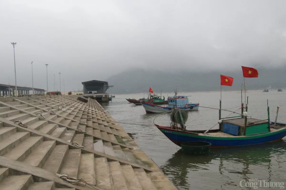 Cận cảnh cảng cá hiện đại bậc nhất miền Trung sắp hoạt động Cận cảnh cảng cá hiện đại bậc nhất miền Trung sắp hoạt động
