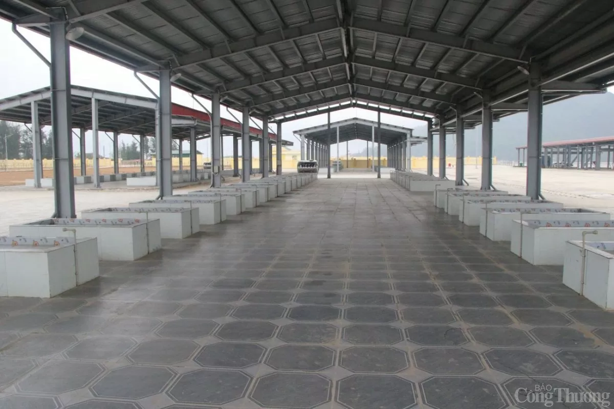 Cận cảnh cảng cá hiện đại bậc nhất miền Trung sắp hoạt động Cận cảnh cảng cá hiện đại bậc nhất miền Trung sắp hoạt động