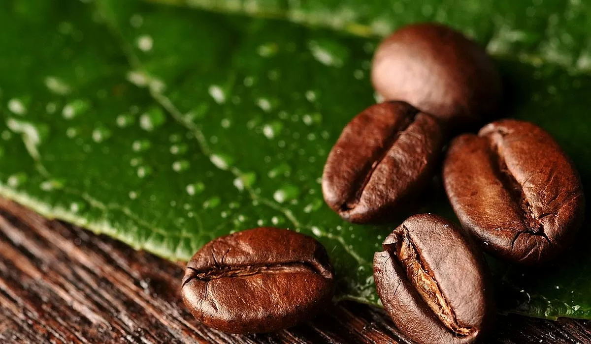 Bộ Nông nghiệp và Môi trường đặt chỉ tiêu xuất khẩu cả phê năm 2025 đạt con số 5,5 tỷ USD