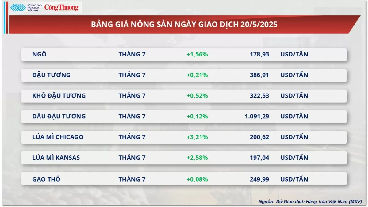 Giá ngô tăng mạnh hơn 1,5% lên 178 USD/tấn