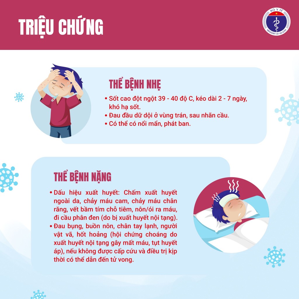 Bộ Y tế khuyến cáo người dân chủ động phòng, chống sốt xuất huyết