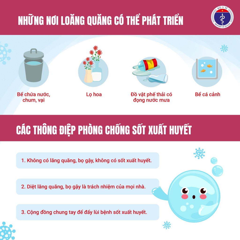 Bộ Y tế khuyến cáo người dân chủ động phòng, chống sốt xuất huyết