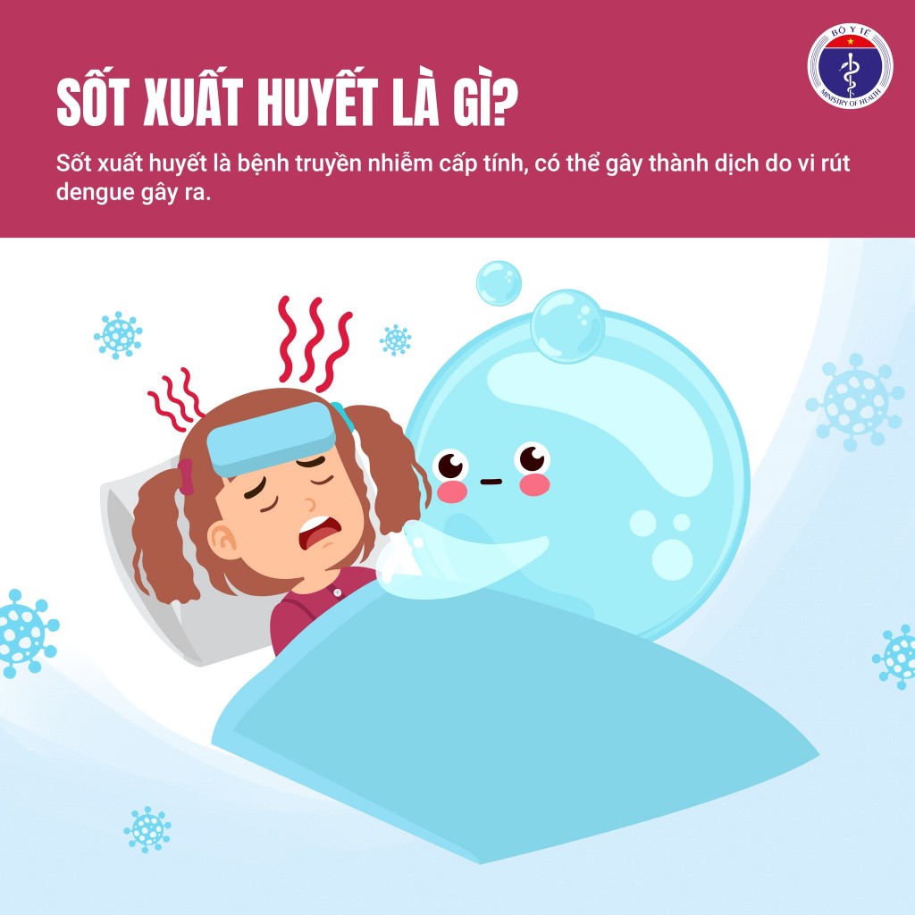 Bộ Y tế khuyến cáo người dân chủ động phòng, chống sốt xuất huyết