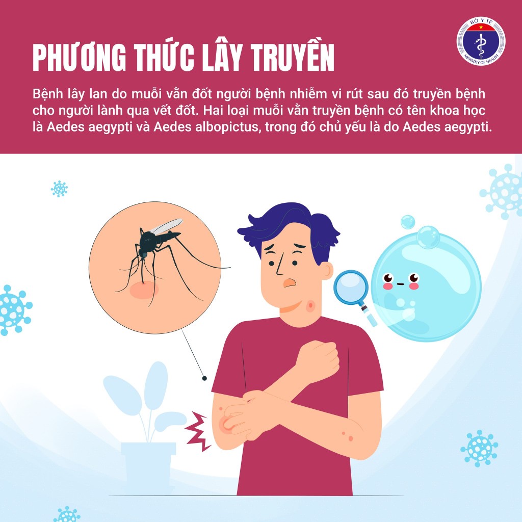 Bộ Y tế khuyến cáo người dân chủ động phòng, chống sốt xuất huyết