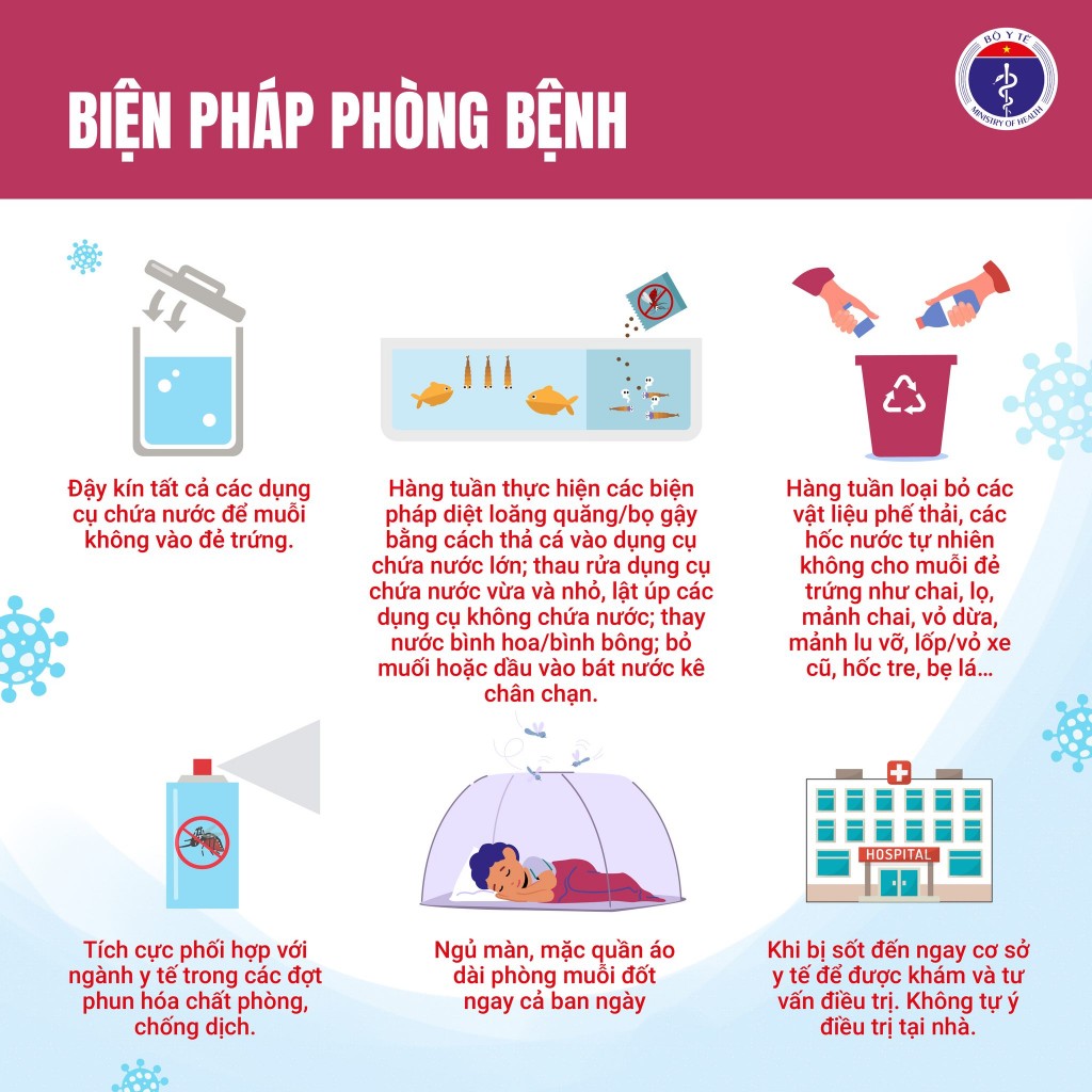 Bộ Y tế khuyến cáo người dân chủ động phòng, chống sốt xuất huyết
