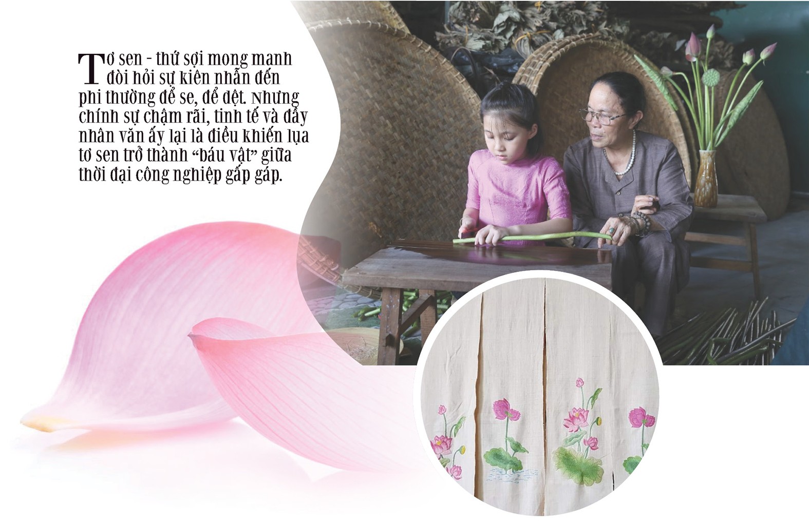 Longform | Tơ sen: Nét lặng tinh hoa giữa lòng Hà Nội