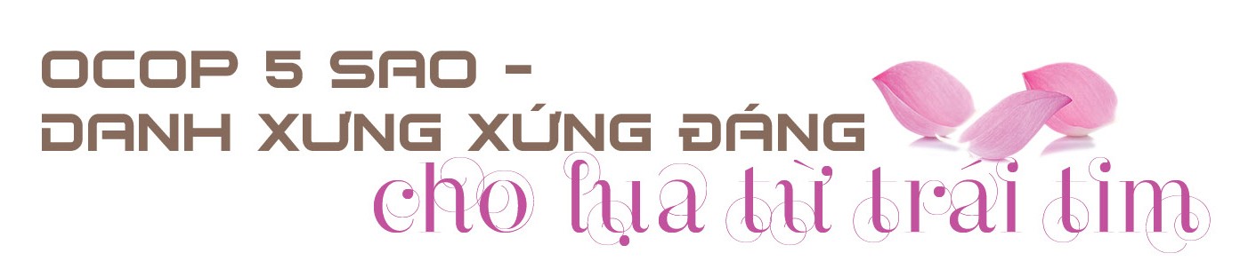 Longform | Tơ sen: Nét lặng tinh hoa giữa lòng Hà Nội Longform | Tơ sen: Nét lặng tinh hoa giữa lòng Hà Nội