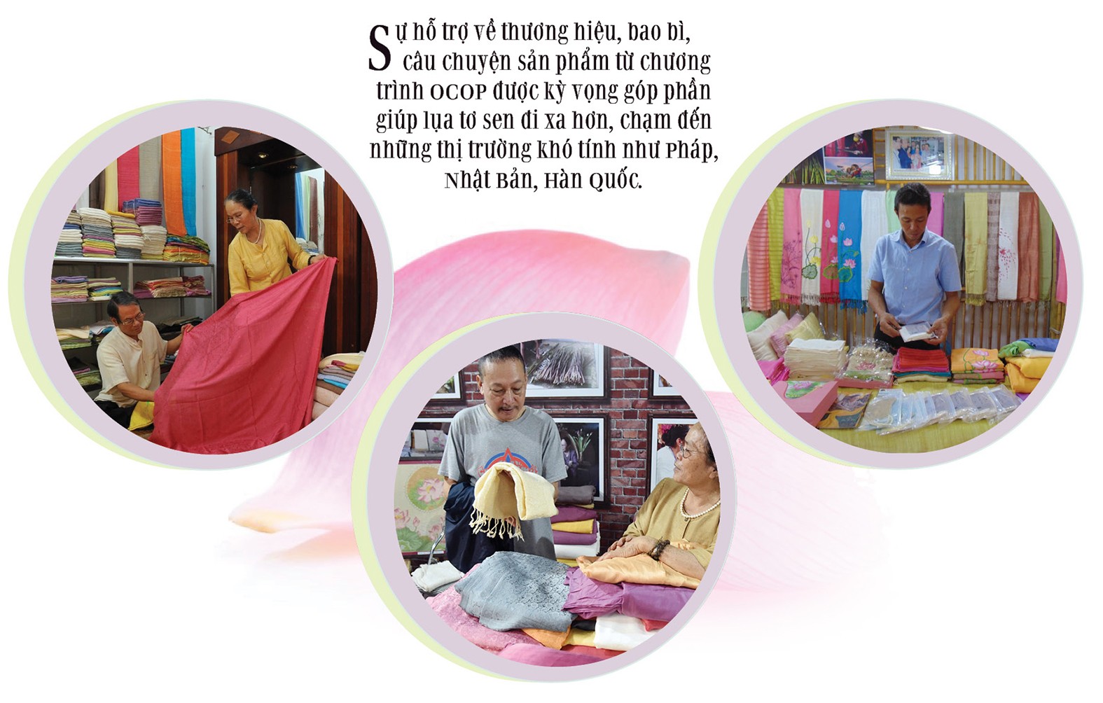 Longform | Tơ sen: Nét lặng tinh hoa giữa lòng Hà Nội