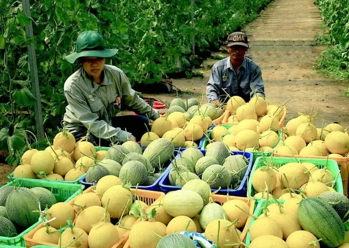 Bình Dương: Huyện Phú Giáo có thêm 12 sản phẩm OCOP 3 sao