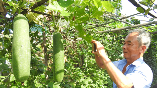 Nhiều người vẫn chưa thực sự thấy được lợi ích rõ ràng từ chuyển đổi số. Ảnh minh họa