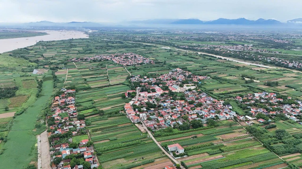 Xã đảo Minh Châu biệt lập giữa sông Hồng