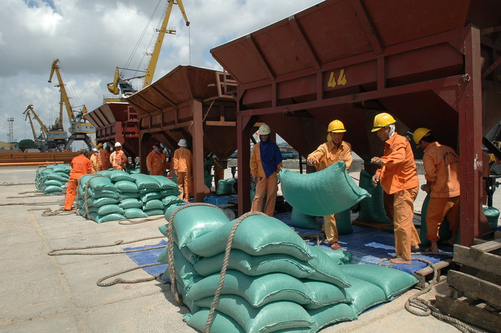 Hoạt động xuất khẩu gạo đang gặp một số khó khăn (Ảnh: Cấn Dũng)