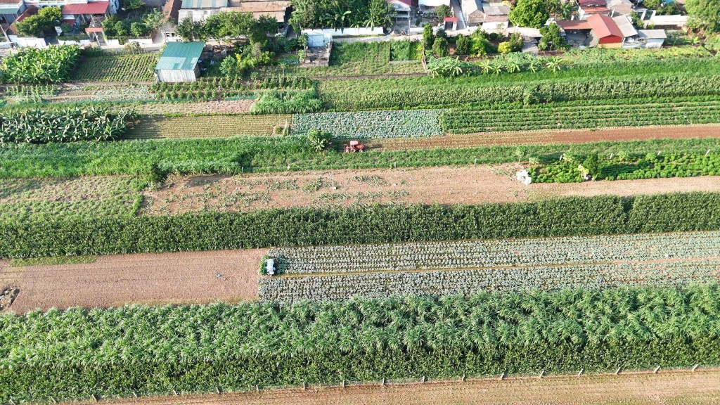 Xã đảo Minh Châu tập trung nguồn lực phát triển kinh tế, xã hội