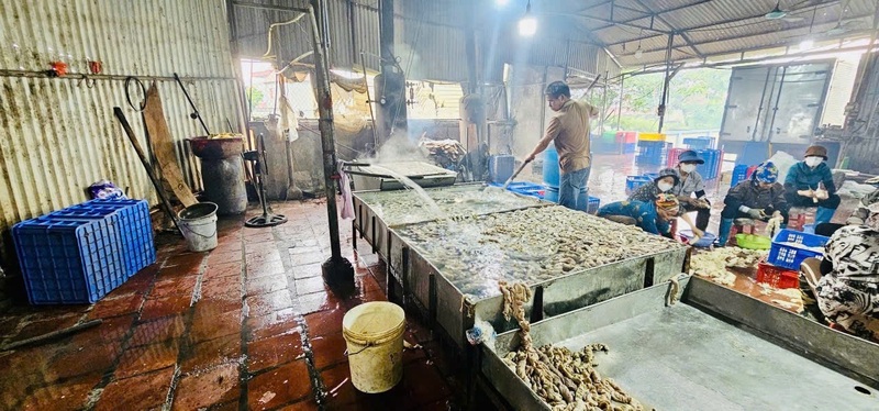 Số nội tạng động vật không rõ nguồn gốc xuất xứ được lưu trữ tại Công ty TNHH Đông Loan. Ảnh: Thanh Ngân