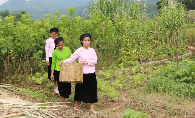 Sa Pa đang dần biến các vùng sản xuất thành điểm đến trải nghiệm. Ảnh: Hoàng Thu