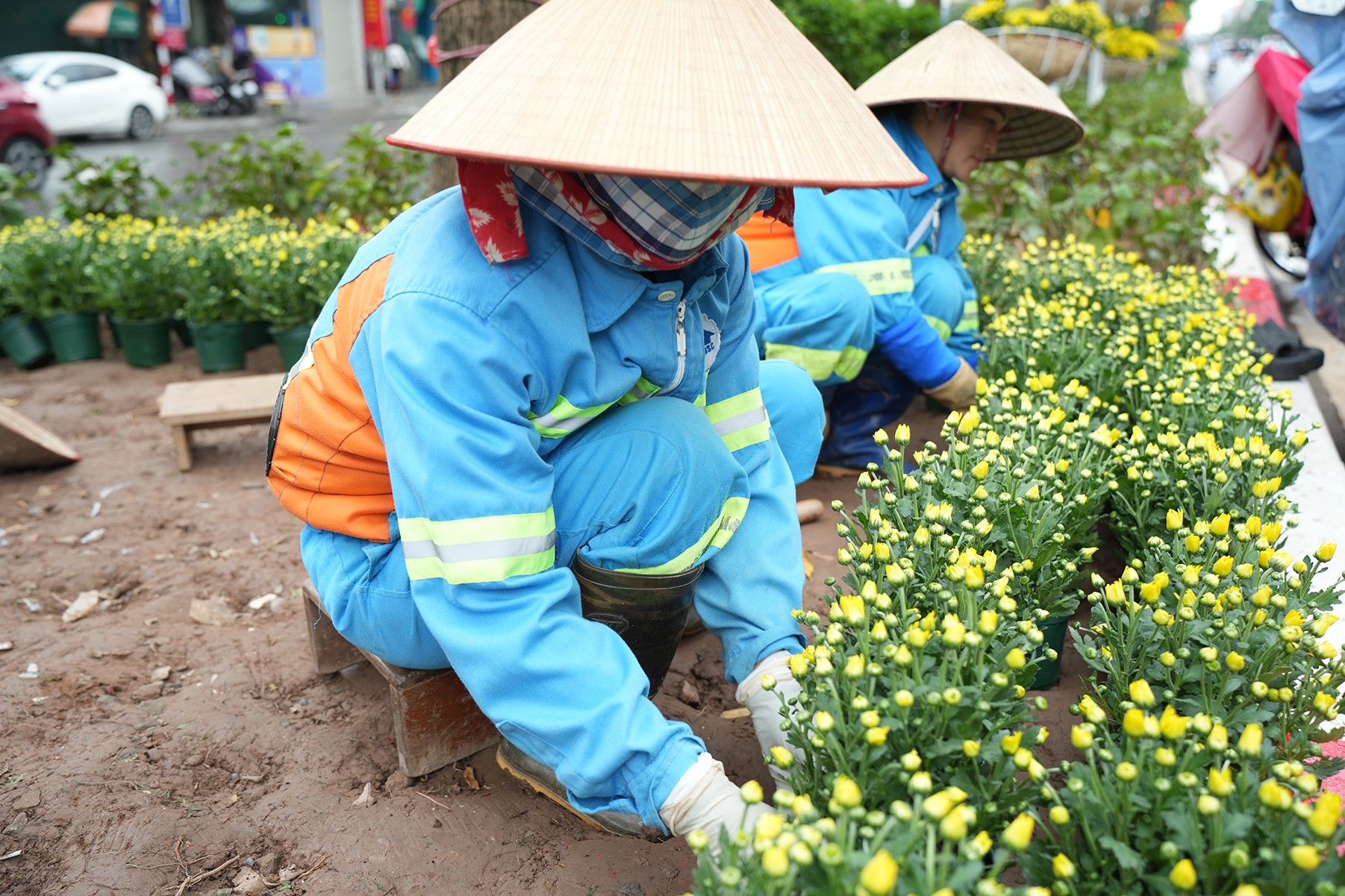 Dải phân cách bị dập nát được thay bằng những chậu hoa mới Dải phân cách bị dập nát được thay bằng những chậu hoa mới