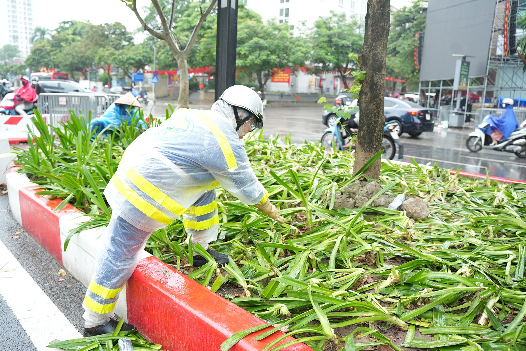 Chị Thúy (Công nhân Công ty Cây xanh Hà Nội) cho biết: Bãi cỏ, bồn hoa tơi tả sau đêm tổng hợp luyện lần 2