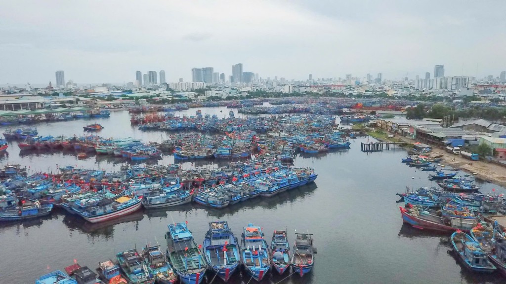 Ảnh minh họa Ảnh minh họa