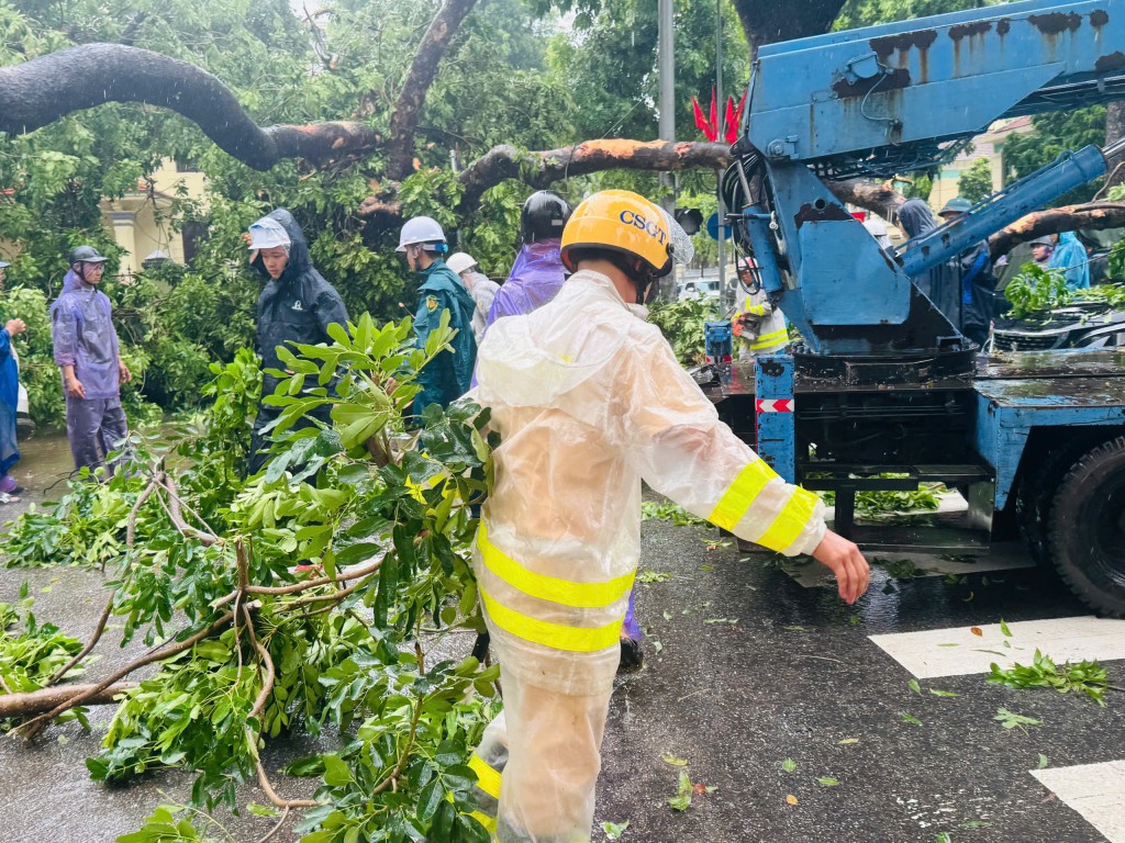 Mưa lớn khiến cây xanh bật gốc đổ đè 2 xe ô tô
