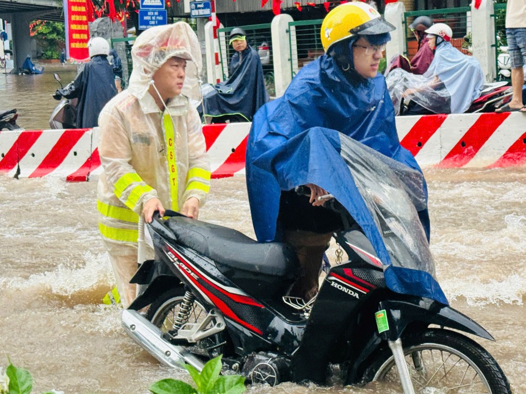 Mưa lớn khiến cây xanh bật gốc đổ đè 2 xe ô tô