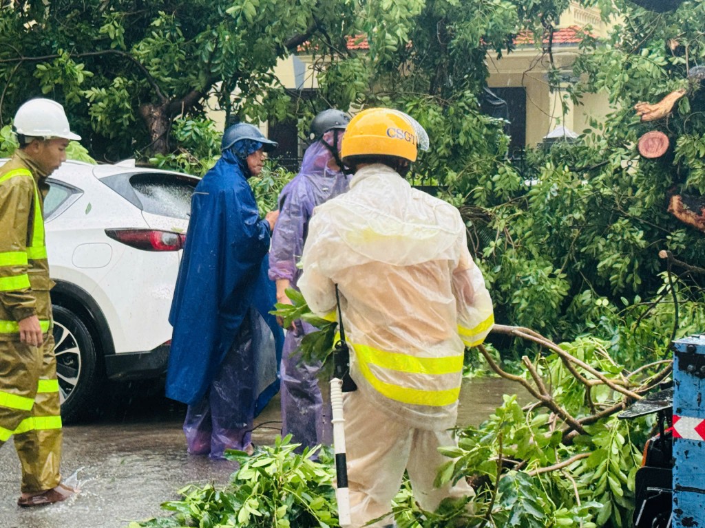 Mưa lớn khiến cây xanh bật gốc đổ đè 2 xe ô tô