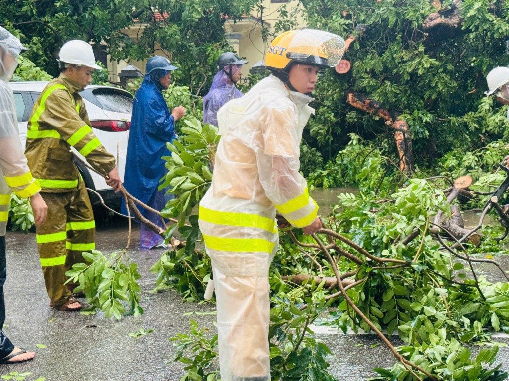 Mưa lớn khiến cây xanh bật gốc đổ đè 2 xe ô tô