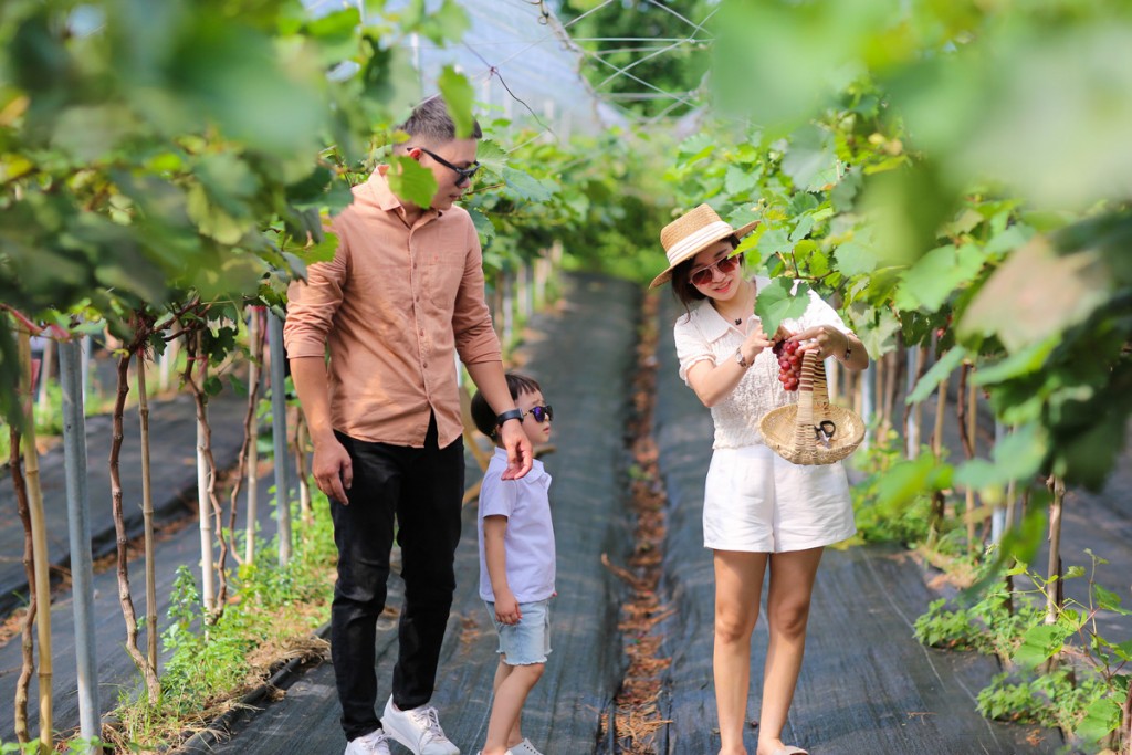 Hà Nội có nhiều tiềm năng phát triển sản phẩm OCOP gắn với du lịch nông nghiệp