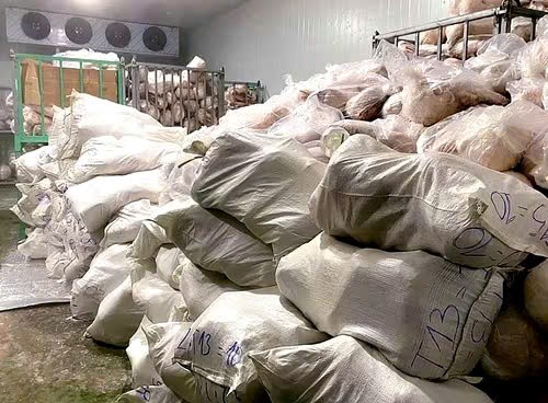 Hơn 100 tấn thịt heo tươi sống có dấu hiệu chuyển màu, bốc mùi hôi