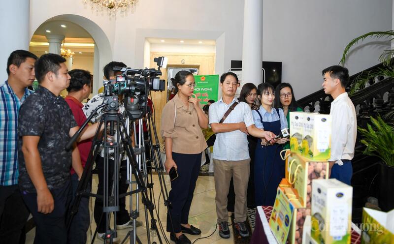 Thông qua các hoạt động xúc tiến thương mại, công tác truyền thông, nhiều sản phẩm OCOP đã vươn ra thị trường quốc tế.