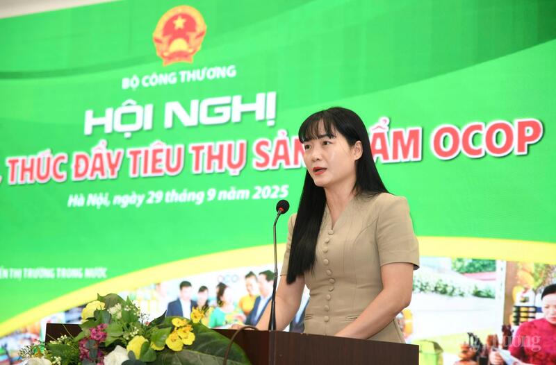 Bà Nguyễn Thị Hiệp, đại diện Sở Công Thương tỉnh Bắc Ninh phát biểu tại hội nghị. Ảnh: Nam Nguyễn