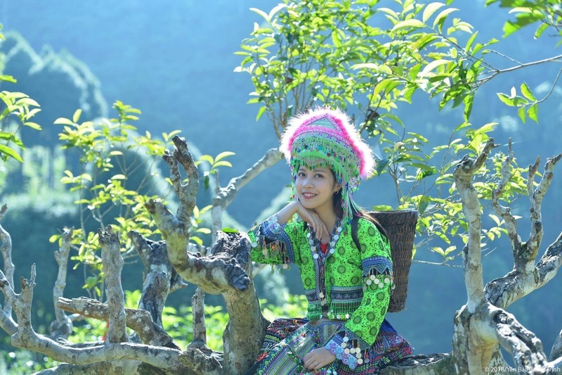 Chè Suối Giàng đã được chuẩn hóa quy trình sản xuất, áp dụng tiêu chuẩn an toàn thực phẩm, đầu tư nhà xưởng chế biến và đóng gói hiện đại... Nhiều sản phẩm được công nhận OCOP 4 sao (Ảnh: HTX hệ sinh thái du lịch Suối Giàng)