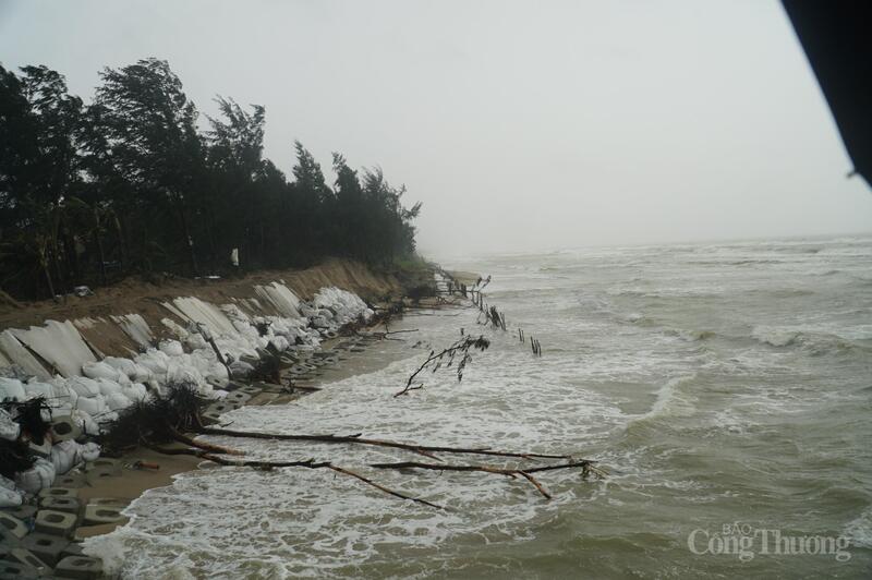 Do mưa lớn kéo dài, sóng biển biển, khu vực bờ biển thuộc phường Hội An Tây (TP. Đà Nẵng) tiếp tục sạt lở nghiêm trọng.