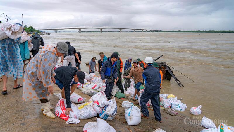 Hàng trăm người dân, lực lượng Bộ đội, dân quân tự vệ gia cố bờ kè thôn An Lương.