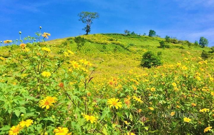 Tạp chí Lonely Planet (Anh) từng bình chọn Chư Đăng Ya là một trong 10 miệng núi lửa đẹp nhất thế giới. Ảnh: Hiền Mai