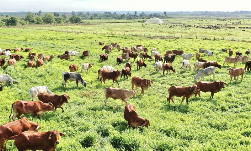 Với cam kết đồng hành của tỉnh Gia Lai, nền nông nghiệp hiện đại sẽ phát triển mạnh mẽ trong thời gian tới.