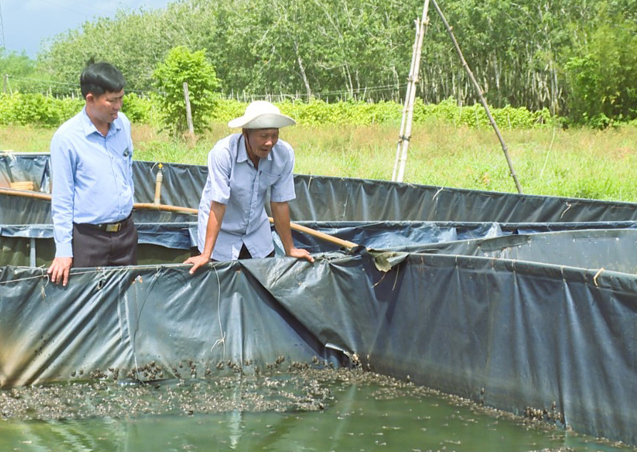 Nông dân Lộc Ninh đổi mới tư duy, nâng cao hiệu quả sản xuất