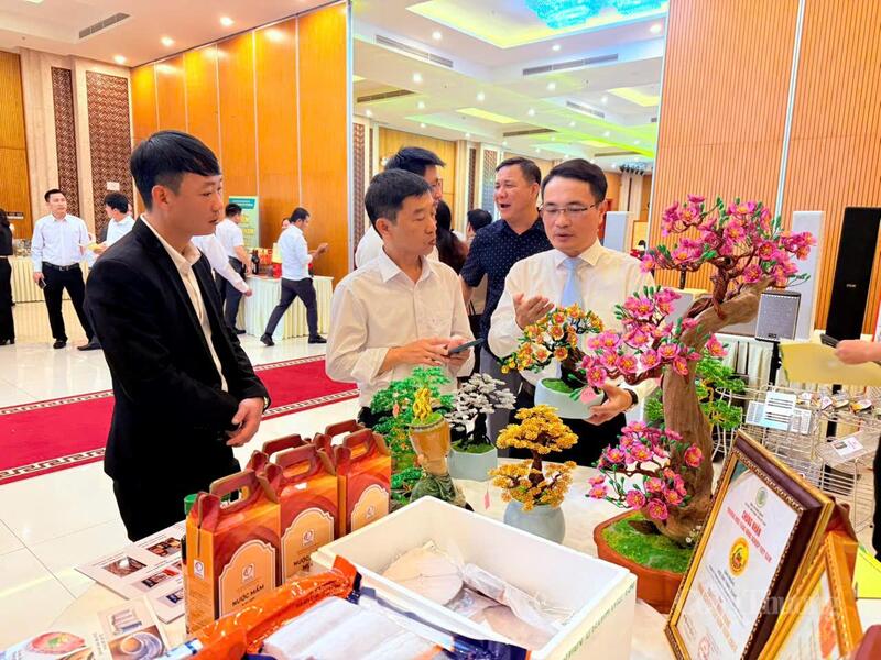 Lãnh đạo Sở Công Thương Quảng Trị thăm các gian hàng triển lãm bên lề hội nghị.