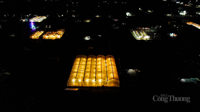 Trao đổi với báo chí, ông Nguyễn Thái Vũ - chuyên viên Phòng Kinh tế xã Toàn Lưu cho biết, thời điểm này, người dân đang tất bật chăm sóc, chong đèn để cây hoa sinh trưởng ổn định, ra nụ và nở đúng thời điểm. Hi vọng toàn bộ diện tích hoa cúc sẽ cho chất lượng đồng đều, đáp ứng nhu cầu thị trường Tết, góp phần nâng cao thu nhập cho bà con nông dân.