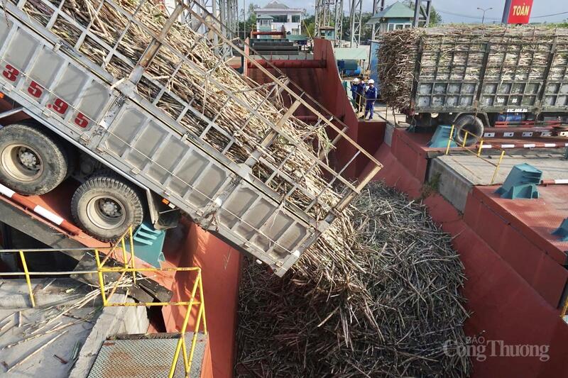 Năm 2026, tỉnh Gia Lai phấn đấu giá trị gia tăng công nghiệp tăng từ 11,5 -  12,5%, chỉ số sản xuất công nghiệp tăng từ 9,5 - 10,5%.