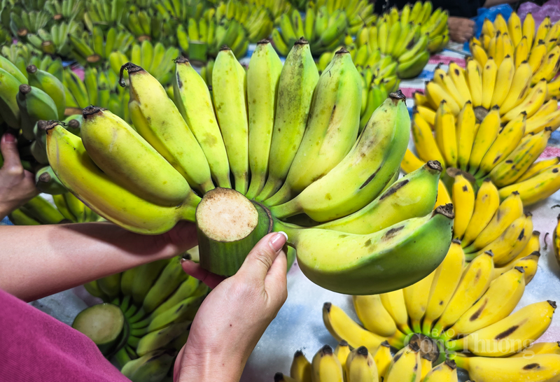 Bà Lê Thị Hoa (tiểu thương tại chợ Hội, xã Cẩm Xuyên) chia sẻ, năm nay, nguồn hàng hoa quả rất phong phú, từ các loại trái cây nội địa đến trái cây nhập khẩu.