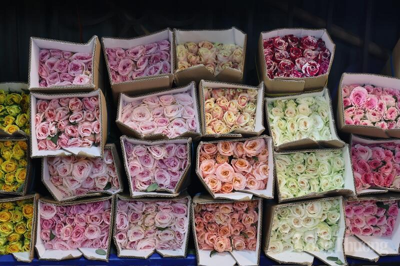 Hoa hồng được nhiều người chọn mua