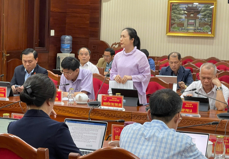 Bà Nguyễn Thị Thu An, Giám đốc Sở Công Thương Đắk Lắk phát biểu tại hội nghị đánh giá về tình hình kinh tế - xã hội tháng 2. Ảnh: Công Lý