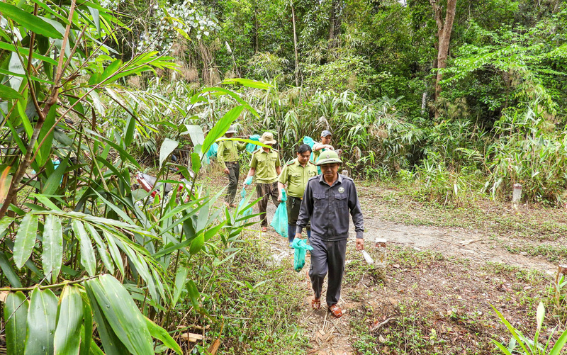 Trung tâm Cứu hộ, Bảo tồn và Phát triển sinh vật thuộc Vườn Quốc gia Kon Ka Kinh phối hợp thả 17 cá thể động vật rừng đủ điều kiện sức khỏe về môi trường tự nhiên.