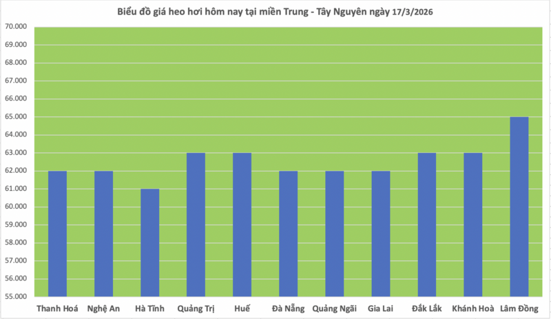 Giá heo hơi hôm nay 17/3/2026: Tăng đồng loạt 1.000 đồng tại miền Bắc - 2