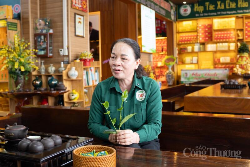 Bà Đào Thanh Hảo, đại biểu HĐND tỉnh Thái Nguyên nhiệm kỳ 2026 - 2031, Giám đốc Hợp tác xã chè Hảo Đạt.