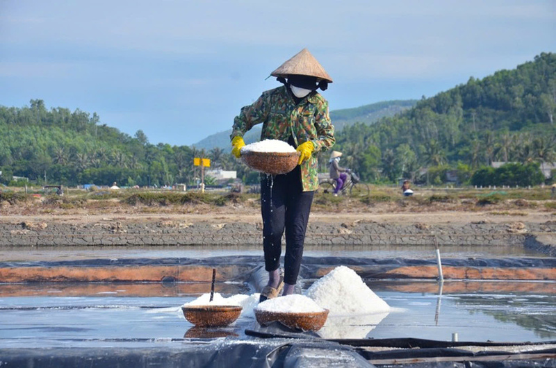 Hiện tại, giá muối đang tăng cao gấp đôi khiến người dân làm muối rất phấn khởi. Ảnh: Nguyễn Dương