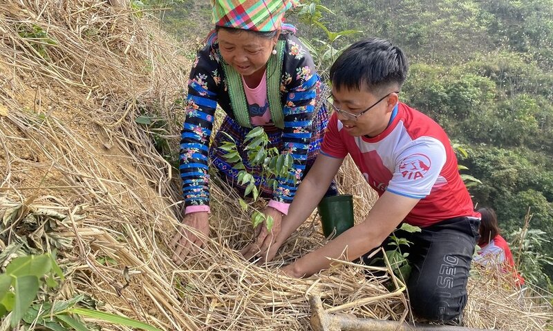 Anh Sùng A Cải, chủ nhiệm dự án