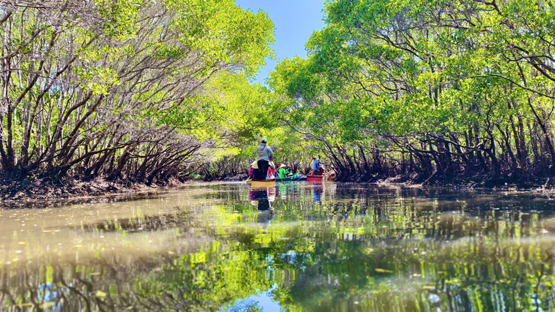 Du khách sẽ được ngồi trên những chiếc ghe nhỏ để thưởng lãm cảnh đẹp. Ảnh: Nguyễn Dương